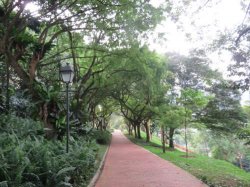 IMG_6865__1517009454_106.68.216.142.jpg IMG_6865__1517009454_106.68.216.142.jpg