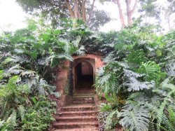 IMG_6902__1517022756_106.68.216.142.jpg IMG_6902__1517022756_106.68.216.142.jpg