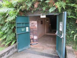 IMG_6903__1517022844_106.68.216.142.jpg IMG_6903__1517022844_106.68.216.142.jpg