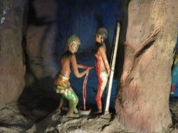 IMG_7013__1517056683_106.68.216.142.jpg IMG_7013__1517056683_106.68.216.142.jpg