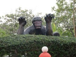 IMG_7129__1517092369_106.68.216.142.jpg IMG_7129__1517092369_106.68.216.142.jpg