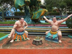 IMG_7159__1517092552_106.68.216.142.jpg IMG_7159__1517092552_106.68.216.142.jpg