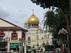 IMG_7172__1517113634_106.68.216.142.jpg IMG_7172__1517113634_106.68.216.142.jpg