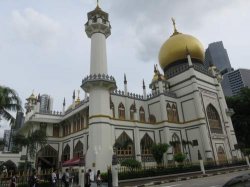 IMG_7185__1517113774_106.68.216.142.jpg IMG_7185__1517113774_106.68.216.142.jpg