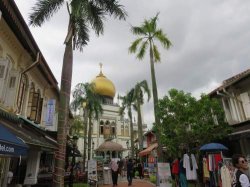 IMG_7226__1517114512_106.68.216.142.jpg IMG_7226__1517114512_106.68.216.142.jpg