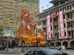 IMG_7308__1517132150_106.68.216.142.jpg IMG_7308__1517132150_106.68.216.142.jpg