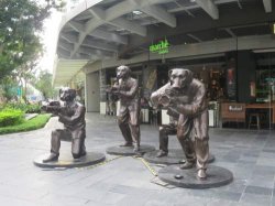 IMG_7353__1517132566_106.68.216.142.jpg IMG_7353__1517132566_106.68.216.142.jpg