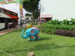 IMG_7356__1517132660_106.68.216.142.jpg IMG_7356__1517132660_106.68.216.142.jpg