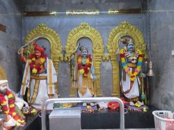 IMG_7389__1517144291_106.68.216.142.jpg IMG_7389__1517144291_106.68.216.142.jpg