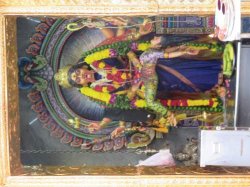 IMG_7397__1517144374_106.68.216.142.jpg IMG_7397__1517144374_106.68.216.142.jpg