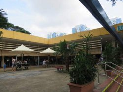 IMG_7419__1517144597_106.68.216.142.jpg IMG_7419__1517144597_106.68.216.142.jpg