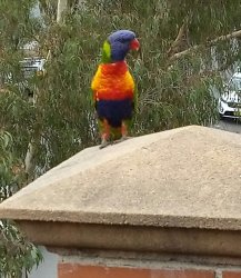 IMAG0595~2.jpg IMAG0595~2.jpg