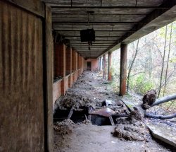 IMG_20161005_134149.jpg IMG_20161005_134149.jpg