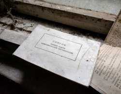 IMG_20161005_140316.jpg IMG_20161005_140316.jpg