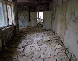 IMG_20161005_135536.jpg IMG_20161005_135536.jpg