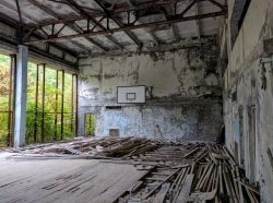 IMG_20161005_141238.jpg IMG_20161005_141238.jpg