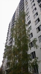 20161005_142652.jpg 20161005_142652.jpg