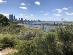 169DF5E3-2871-4F40-8DF7-9FD8B1E651B3.jpeg 169DF5E3-2871-4F40-8DF7-9FD8B1E651B3.jpeg