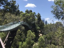 61D987B1-263A-4243-8FA6-B53883101813.jpeg 61D987B1-263A-4243-8FA6-B53883101813.jpeg