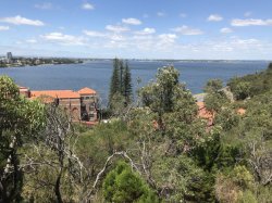 F639DE6D-F98B-4E65-BC18-54EE3B93BD73.jpeg F639DE6D-F98B-4E65-BC18-54EE3B93BD73.jpeg