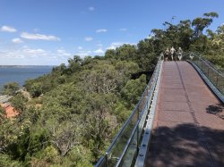 BFB4687C-C129-4CF5-936D-EDD7B47F03A7.jpeg BFB4687C-C129-4CF5-936D-EDD7B47F03A7.jpeg