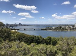 94027CE6-DFD7-46E6-9118-A6DF7C5BD6B1.jpeg 94027CE6-DFD7-46E6-9118-A6DF7C5BD6B1.jpeg