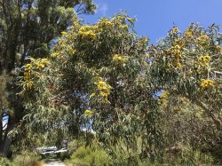 160D7680-58D8-40F3-B413-C5DED1AE631E.jpeg 160D7680-58D8-40F3-B413-C5DED1AE631E.jpeg