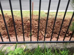 3280EBF2-31F4-47E1-8E5C-DDCBDEBB5632.jpeg 3280EBF2-31F4-47E1-8E5C-DDCBDEBB5632.jpeg