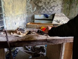 IMG_20161005_150430.jpg IMG_20161005_150430.jpg