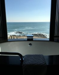 C8E2A631-AC8A-4347-9B02-FC1814D1A27F.jpeg C8E2A631-AC8A-4347-9B02-FC1814D1A27F.jpeg