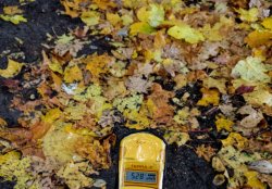 IMG_20161005_162524.jpg IMG_20161005_162524.jpg