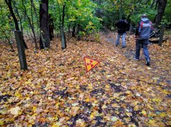 IMG_20161005_162551.jpg IMG_20161005_162551.jpg