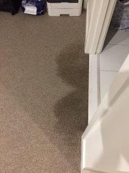 D81DCA32-86B6-4AC4-9681-3918BE607A53.jpeg D81DCA32-86B6-4AC4-9681-3918BE607A53.jpeg