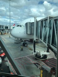 IMG_0017.JPG IMG_0017.JPG