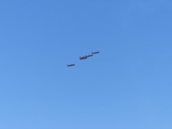 44FCE816-677A-435E-B1CB-D5C1CA693482.jpeg 44FCE816-677A-435E-B1CB-D5C1CA693482.jpeg