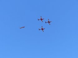 E79033D4-430B-4269-BA96-F92ADCFBE009.jpeg E79033D4-430B-4269-BA96-F92ADCFBE009.jpeg