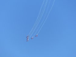 A6FFB015-D59D-427B-9756-CBFE37B5251C.jpeg A6FFB015-D59D-427B-9756-CBFE37B5251C.jpeg