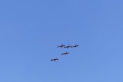 1C9257CB-ED2A-455C-933E-961C91322AFF.jpeg 1C9257CB-ED2A-455C-933E-961C91322AFF.jpeg