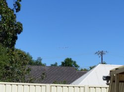 38DC1A4E-8A3E-48E3-A52B-7703BB27BC5E.jpeg 38DC1A4E-8A3E-48E3-A52B-7703BB27BC5E.jpeg