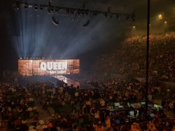 queen1.jpg queen1.jpg