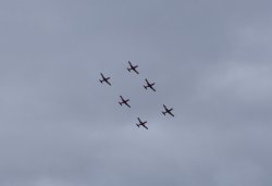 31CFC9AF-6A6B-49FD-B7E1-05B5E5031CA9.jpeg 31CFC9AF-6A6B-49FD-B7E1-05B5E5031CA9.jpeg