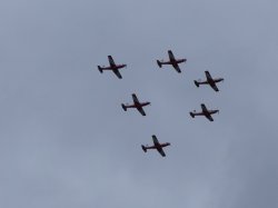 95FAD03E-9F6C-4D62-A3EF-14DF68F88E41.jpeg 95FAD03E-9F6C-4D62-A3EF-14DF68F88E41.jpeg