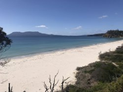 1EB5C9B4-5991-49F0-9E94-9A4CD9DCC249.jpeg 1EB5C9B4-5991-49F0-9E94-9A4CD9DCC249.jpeg