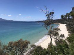 32390097-A7E9-4443-B38E-4BAF4FB206A4.jpeg 32390097-A7E9-4443-B38E-4BAF4FB206A4.jpeg