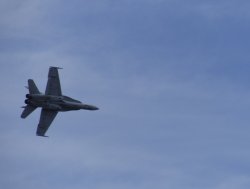 01BB60F0-0450-41BF-9570-1A96B80B1C5B.jpeg 01BB60F0-0450-41BF-9570-1A96B80B1C5B.jpeg