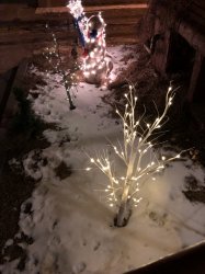 IMG_0109 (480x640).jpg IMG_0109 (480x640).jpg