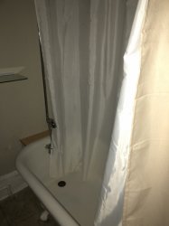 IMG_0116 (480x640).jpg IMG_0116 (480x640).jpg