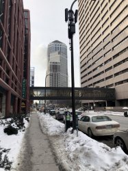 IMG_0125 (480x640).jpg IMG_0125 (480x640).jpg