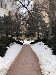 IMG_0128 (480x640).jpg IMG_0128 (480x640).jpg