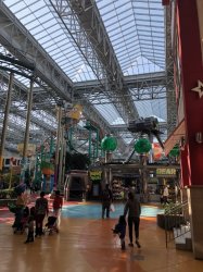 IMG_0162 (480x640).jpg